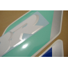 Honda CBR 600 F2 - BLACK/PINK/GREEN VERSION DECALS