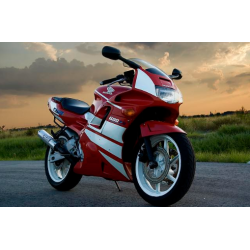 Honda CBR 600 F2 - RED/WHITE VERSION DECALS