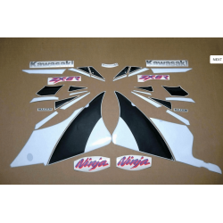 STICKER SET KAWASAKI ZX-6R YEAR 2000 GREEN