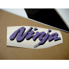 STICKER SET KAWASAKI ZX-6R AÑO 2000 ROJO