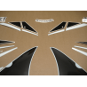 STICKER SET KAWASAKI ZX-6R YEAR 2000 SILVER