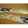 STICKER SET KAWASAKI ZX-6R YEAR 2000 GREEN