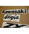 STICKER SET KAWASAKI ZX-6R YEAR 2004 GREEN