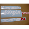 STICKER SET KAWASAKI ZX-6R YEAR 2005 GREY