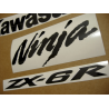 STICKER SET KAWASAKI ZX-6R AÑO 2010 ROJO