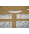 STICKERS KIT KAWASAKI ZX-9R 1999 GREEN