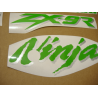 STICKERS KIT KAWASAKI ZX-9R 2000 BLACK