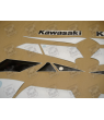 STICKERS KIT KAWASAKI ZX-9R 2002 GOLD