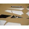 STICKERS KIT KAWASAKI ZX-9R 2002 GREEN