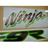 STICKERS KIT KAWASAKI ZX-9R 2002 GREEN