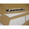 STICKERS KIT KAWASAKI ZX-9R 2002 GREEN