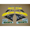 ADHESIVOS KIT KAWASAKI ZX-9R 2002 PLATA