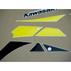 STICKERS KIT KAWASAKI ZX-9R 2002 SILVER