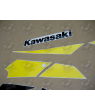 STICKERS KIT KAWASAKI ZX-9R 2002 SILVER