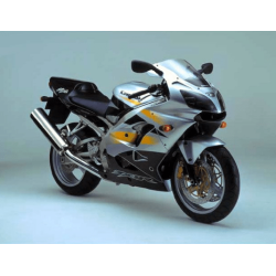 STICKERS KIT KAWASAKI ZX-9R 2002 SILVER