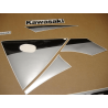 ADHESIVOS KIT KAWASAKI ZX-9R 2003 AZUL PLATA