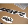 STICKERS KIT KAWASAKI ZX-9R 2003 BLUE SILVER