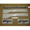 STICKERS KIT KAWASAKI ZX-9R 2003 GREY