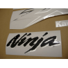 STICKERS KIT KAWASAKI ZX-9R 2003 GREY