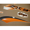 ADHESIVOS KIT KAWASAKI ZX-9R 2003 PLATA NARANJA