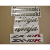 STICKERS KIT KAWASAKI ZX-9R 2005 SILVER