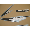 ADHESIVOS KIT KAWASAKI ZX-9R 2007 VERDE