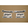 STICKERS KIT KAWASAKI ZX-10R YEAR 2008 GREEN