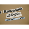 STICKERS KIT KAWASAKI ZX-10R YEAR 2008 GREEN