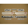 STICKERS KIT KAWASAKI ZX-10R YEAR 2002  ABS BLACK