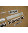 STICKERS KIT KAWASAKI ZX-10R YEAR 2012 ABS GREEN