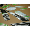 STICKERS KIT KAWASAKI ZX-10R YEAR 2016 GREEN BLACK
