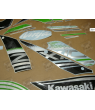 STICKERS KIT KAWASAKI ZX-10R YEAR 2016 GREEN BLACK