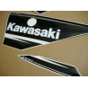 ADHESIVOS KIT KAWASAKI ZX-10R  2016 VERDE NEGRO