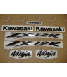 STICKERS KIT KAWASAKI ZX-12R YEAR 2004 SILVER