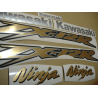 STICKERS KIT KAWASAKI ZX-12R YEAR 2005 BLACK