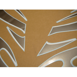 STICKERS KIT KAWASAKI 250R NINJA YEAR 2007 RED