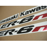 STICKERS KIT KAWASAKI ER-6N YEAR 2007 SILVER
