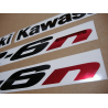 ADHESIVOS KIT KAWASAKI ER-6N AÑO 2007 SILVER