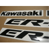 AUFKLEBER KIT KAWASAKI ER-6N YEAR 2007 SILVER