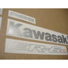 AUTOCOLLANT KIT KAWASAKI ER-6N YEAR 2008 BLACK