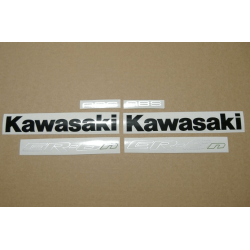 ASESIVI KIT KAWASAKI ER-6F YEAR 2009 GREEN