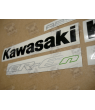 AUTOCOLLANT KIT KAWASAKI ER-6N YEAR 2009 GREEN