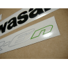 AUTOCOLLANT KIT KAWASAKI ER-6N YEAR 2009 GREEN