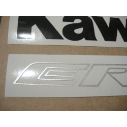 ASESIVI KIT KAWASAKI ER-6F YEAR 2009 GREEN