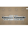 AUTOCOLLANT KIT KAWASAKI ER-6N YEAR 2009 ORANGE