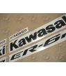 ASESIVI KIT KAWASAKI ER-6F YEAR 2009 SILVER