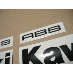 ASESIVI KIT KAWASAKI ER-6F YEAR 2009 SILVER