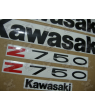 ASESIVI KIT KAWASAKI Z750 YEAR 2006 SILVER