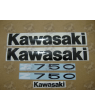 STICKERS KAWASAKI Z750 YEAR 2011GREEN