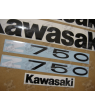 AUTOCOLLANT KAWASAKI Z750 YEAR 2011 GREEN